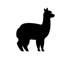 Vector alpaca icon. Simple black silhouette illustration.