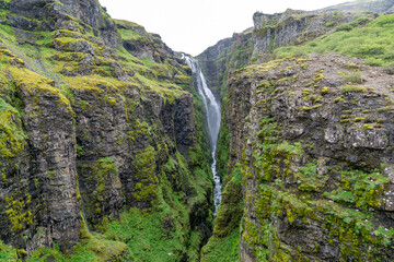 Glymur waterfall in Iceland, in a large mossy canyon
