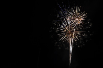 Fototapeta premium Fireworks on black sky 