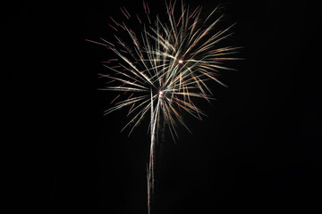 Fototapeta premium Fireworks on black sky