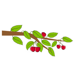cherry fruit branch art drawn