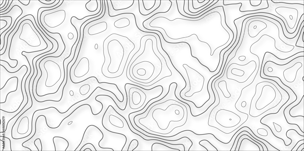 Poster topographic map lines, contour background. background of the topographic map. topographic map lines,