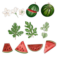 set of watermelon elements 