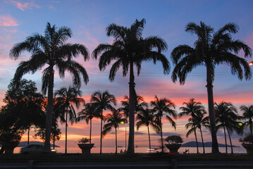 Sunset over a beach with palms in Kota Kinabalu, Sabah, Malaysia