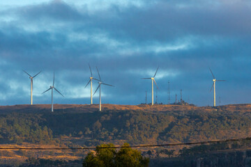 Contrasty sky and wind turbines that have some soft yellow sunlight