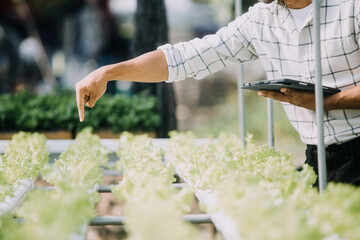 In the Industrial Greenhouse Two Agricultural Engineers Test Plants Health and Analyze Data with Tablet Computer.