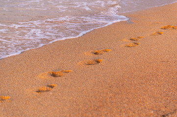 Footprints on the beach close-up. close-up of human footprints in the wet sand on the seashore