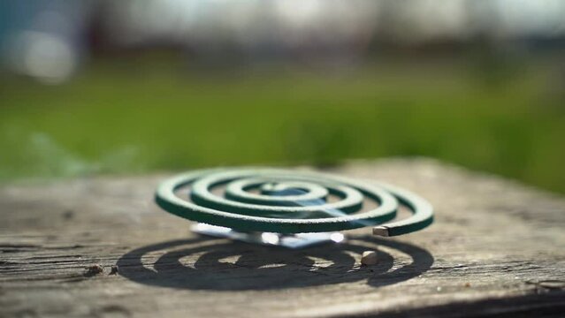 spiral from mosquitoes and insects in nature