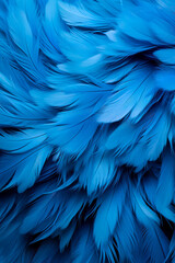 Obraz premium Macro photo of a blue feather pigeon ideal as a texture or background 
