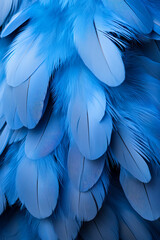 Naklejka premium Macro photo of a blue feather pigeon ideal as a texture or background 