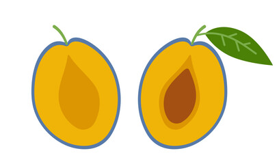 Two plum halves. Hand drawn flat vector illustration isolated on white background.
