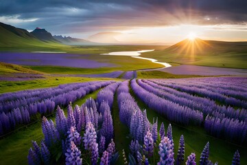 lavender field and sunrise Generated Ai