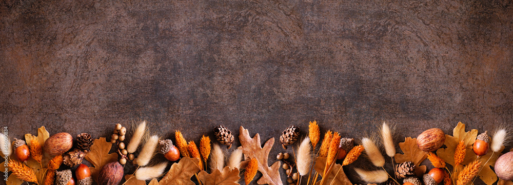 Poster colorful autumn leaves, nuts and grasses. bottom border over a rustic dark banner background. top vi