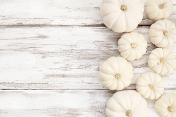 Fall side border of white pumpkins over a white rustic wood background. Top view with copy space.