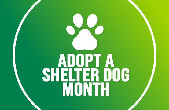 October is Adopt a Shelter Dog Month background template use to background, banner, placard, card, and poster design. holiday concept with text inscription and standard color. vector illustration.