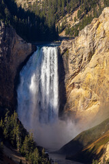 Scenic Yellowstone Falls Landscape in Yellowstone National Park Wyoming