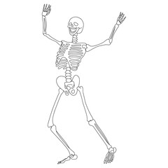 Dancing skeleton, vector line art illustration. Happy Halloween