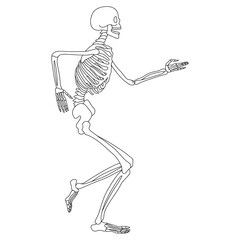 Skeleton, vector line art illustration. Happy Halloween