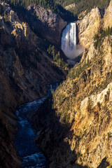 Scenic Yellowstone Falls Landscape in Yellowstone National Park Wyoming