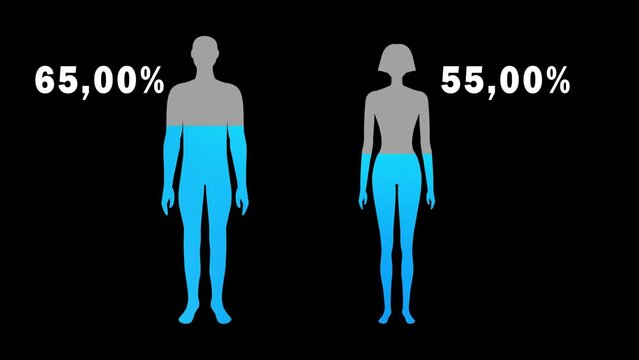 Water Percentage In Human Body of Male and Female Concept Animation.  Hydration Level for men and women 