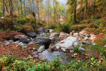 Scenic forest wilderness with water stream and boulders at Bidyang valley in the district of Kalimpong, India