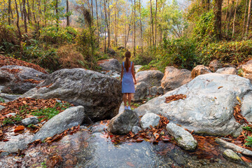 Young woman tourist standing on the rocks near a stream, enjoying the view of the forest wilderness at Bidyang valley in Kalimpong district, India 