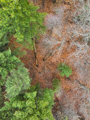 green moss on the stone wall