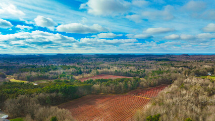 Naklejka premium landscape with river