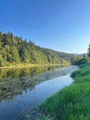 River in the mountains with wooded banks