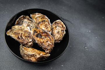 oyster shell fresh seafood clam oysters meal snack on the table copy space food background rustic top view