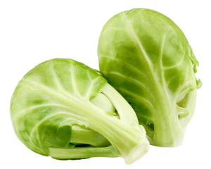 Brussel sprout isolated on white background, full depth of field