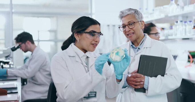 Science, training and research with people in laboratory for learning, medical and vaccine. Mentor, internship and healthcare study with student and professor for solution, petri dish and teamwork