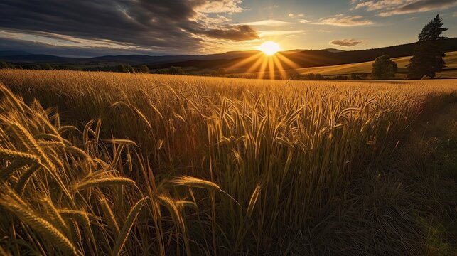 Beautiful savanna grass on sunset view AI generated image