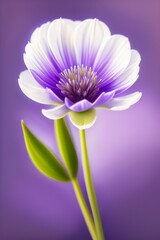 drawn sprig of lavender on a white background