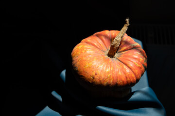 pumpkin on a dark blue halloween background