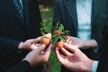 Group of business people holding repuposed eggshell transformed into fertilizer pot, symbolizing...