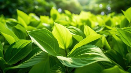 Fresh green leaf nature tropical AI generated image