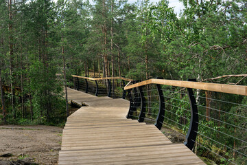 Fototapeta na wymiar wooden walkways on the tourist route in the nature park
