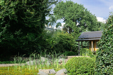 Fototapeta na wymiar small japanese garden with sedge pond and tea house