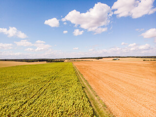 Vue aérienne de champs de tournesols et de labours. Agriculture française. Terres agricoles. Ciel bleu et nuages sur des champs. 