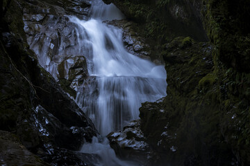 Fototapeta premium New Zealand river near Milford Sound in Fiordland National Park