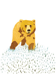 Ilustracja niedźwiedź miś w jasnych brązowych kolorach białe tło.