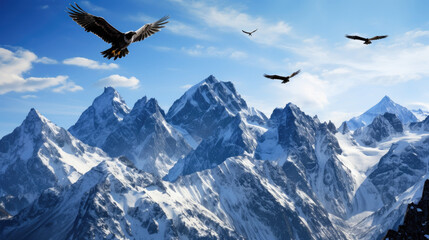 Naklejka na ściany i meble eagle in the mountains 