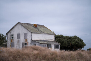 Abandoned House surrounded by brush