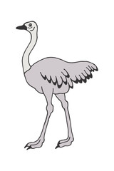 Ostrich. Vector stock illustration eps10. Isolate on white background, outline, hand drawing.