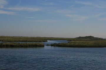 Marshland