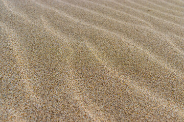natural sandy beach texture, close-up, background