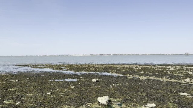 Fouras vue de l'ile madame &agrave; mar&eacute;e basse