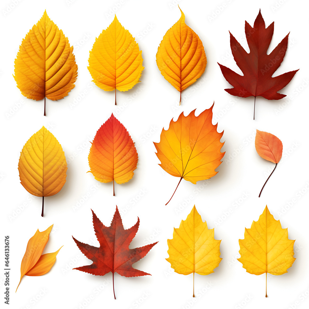 Canvas Prints a set of abstract autumn fallen leaves.
