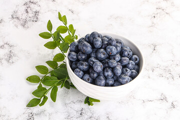 Ripe sweet blueberry in the bowl